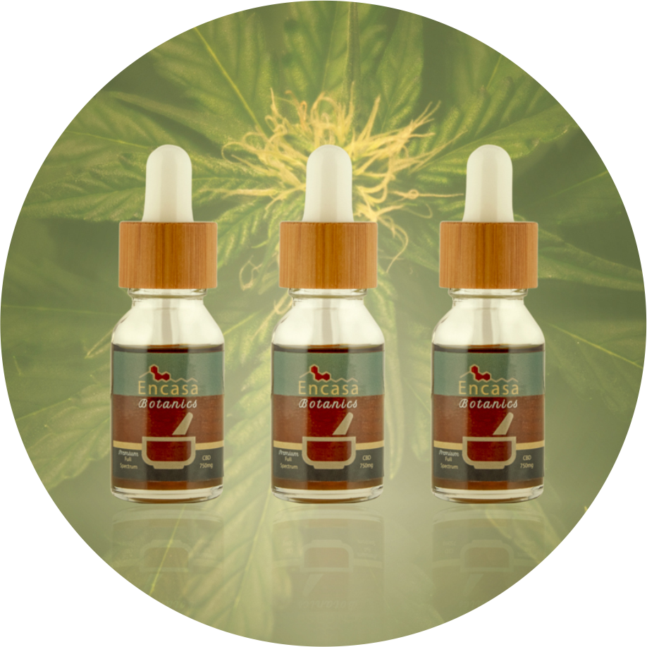 encasa botanics